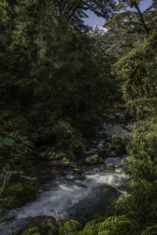 MilfordSound-273