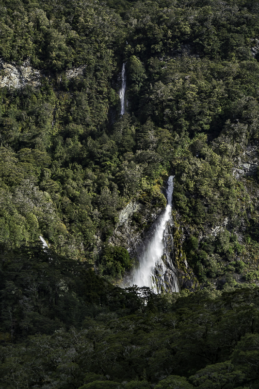MilfordSound-28