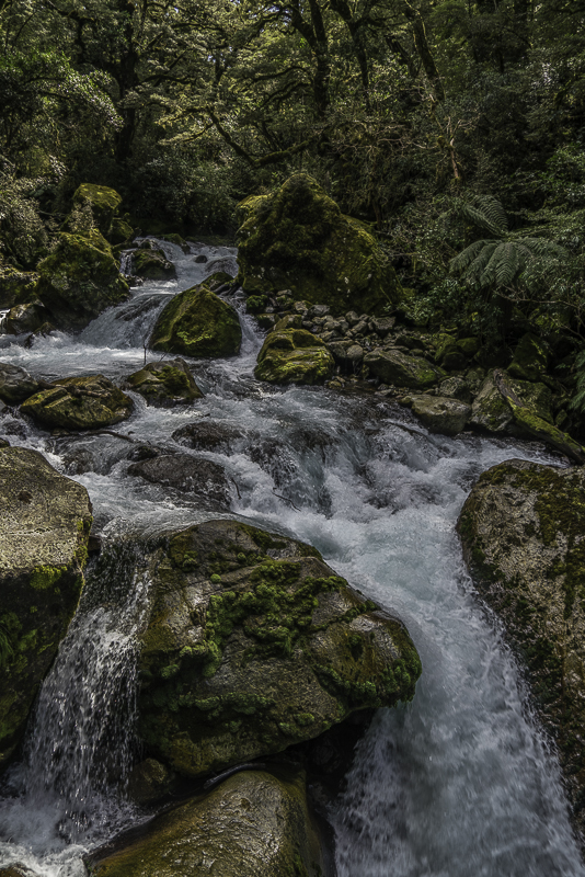 MilfordSound-281