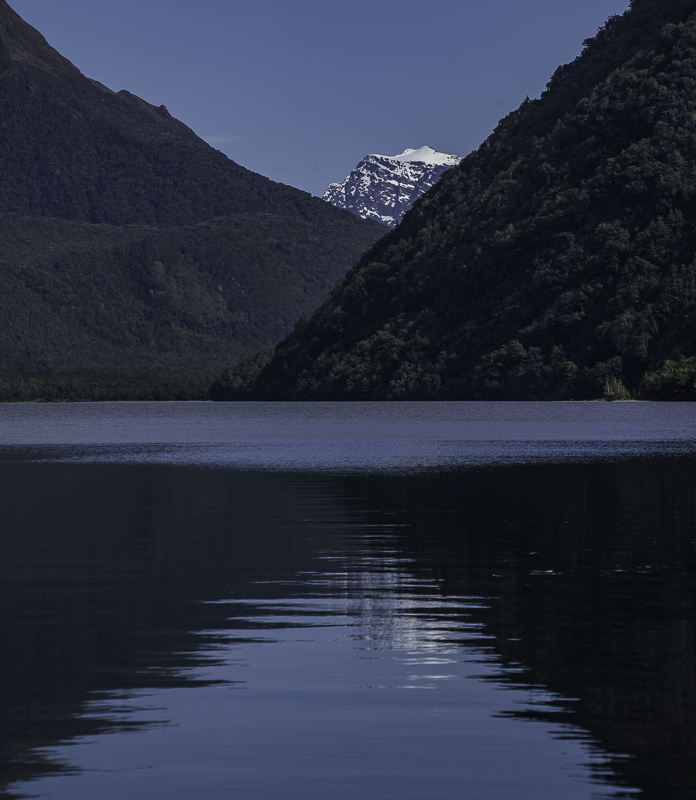 MilfordSound-298