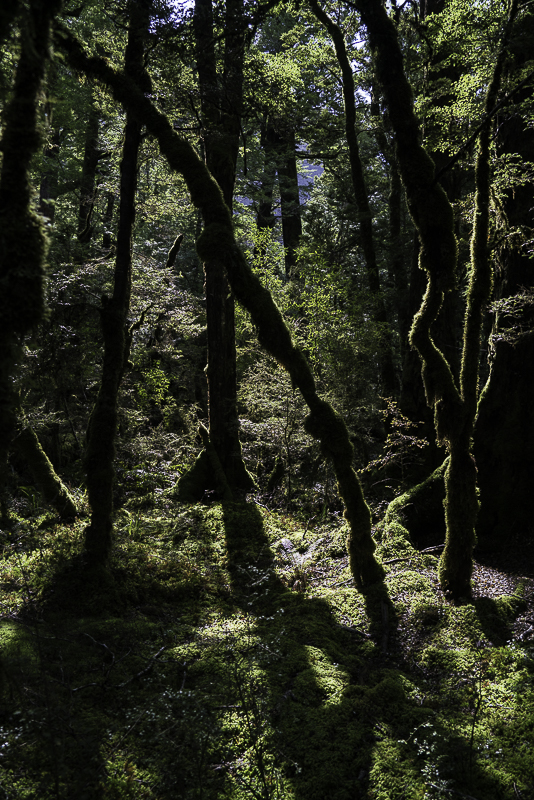 MilfordSound-306