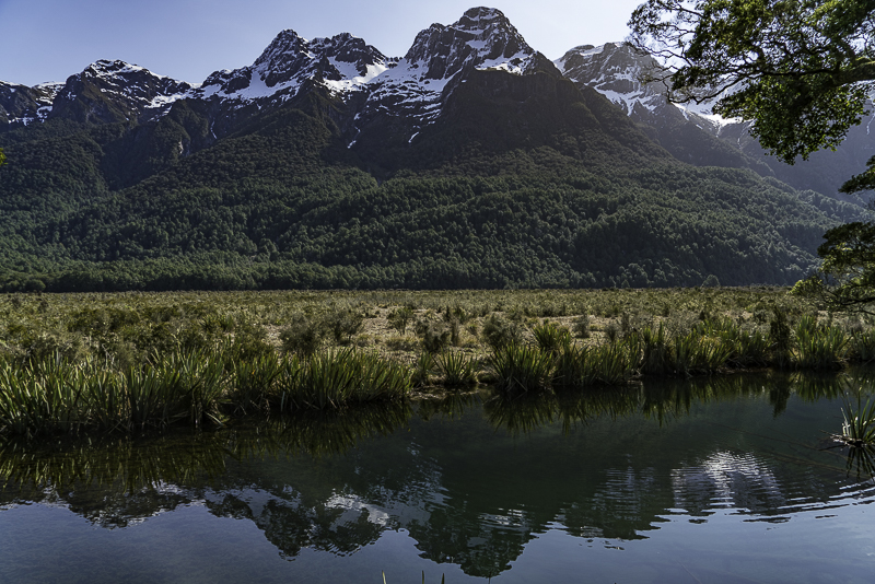 MilfordSound-324