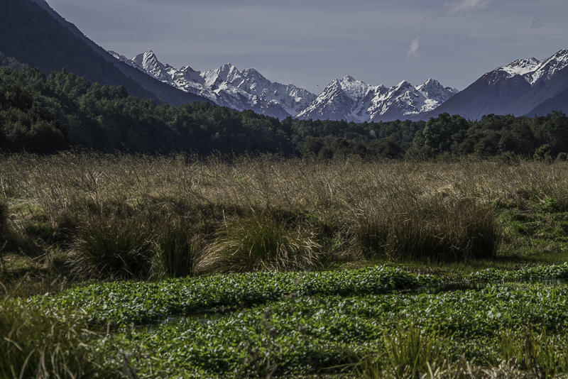 MilfordSound-329