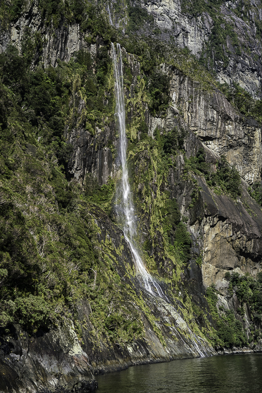 MilfordSound-76