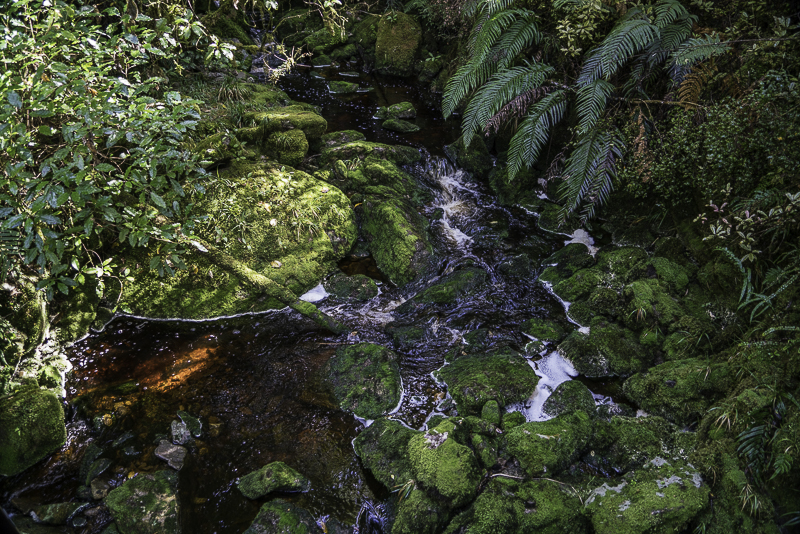 Oparara-113