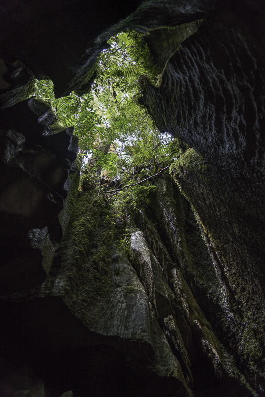 Oparara-15