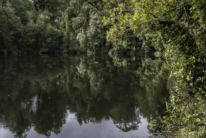 Oparara-162