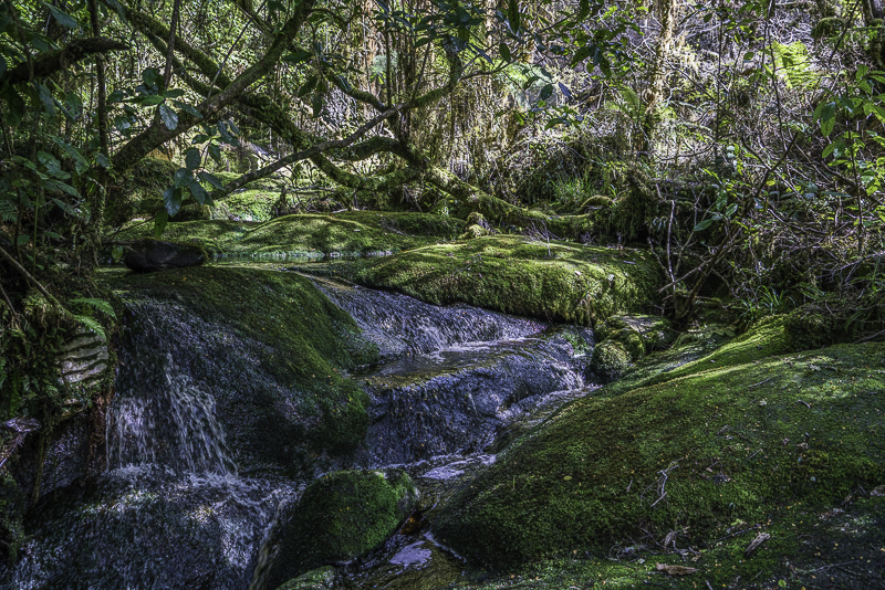 Oparara-95