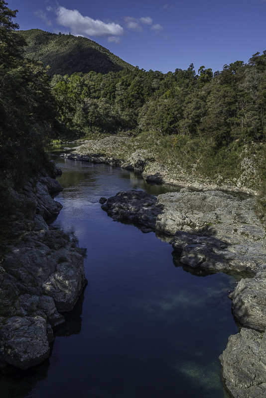 PelorusBridge-12