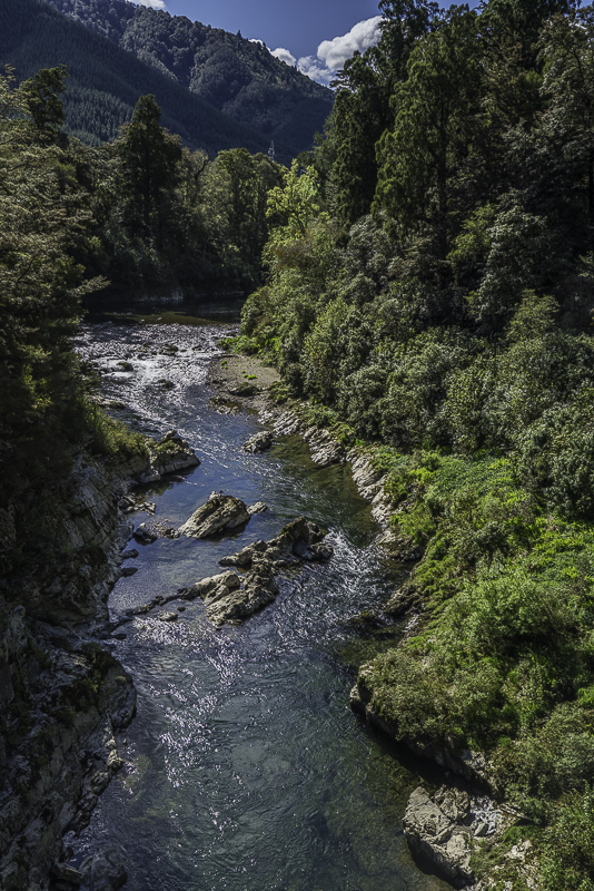 PelorusBridge-3