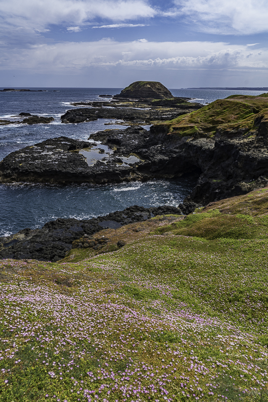 PhillipIsland-64