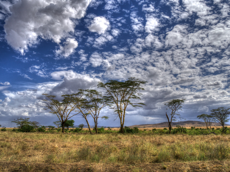 SerengetiClouds