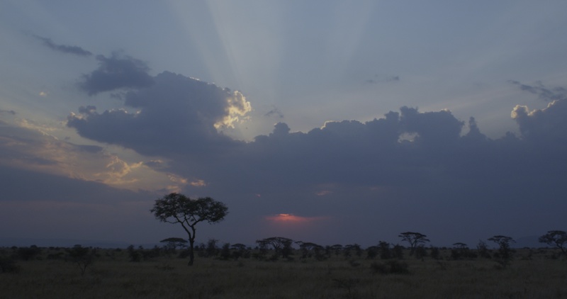 SerengetiSunset