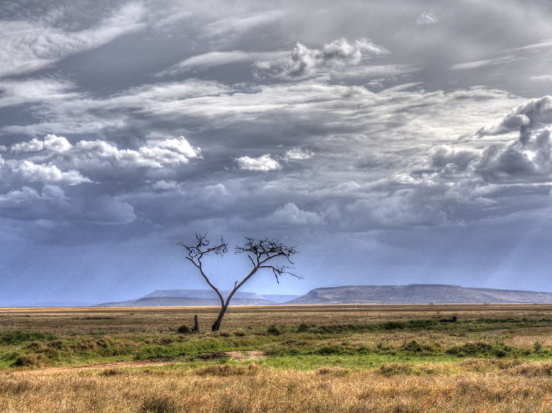 SerengetiThunderstorm