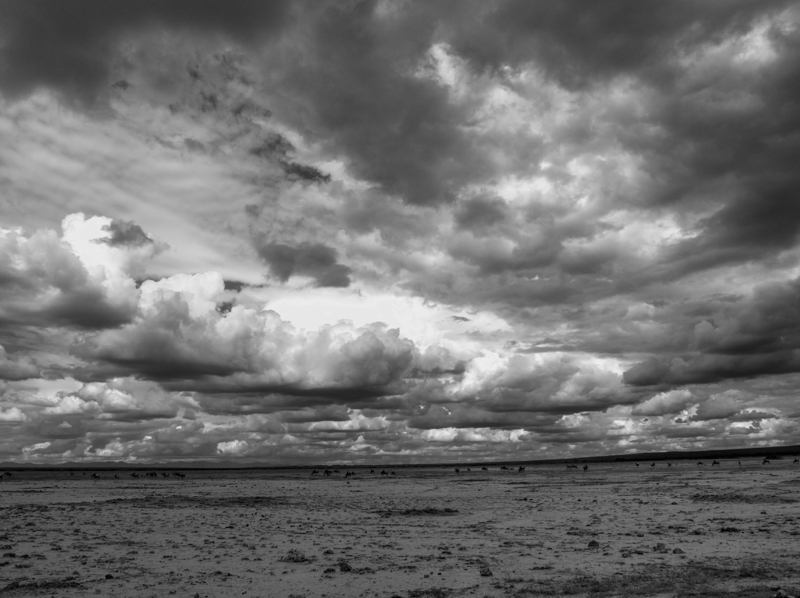 StormyBW
