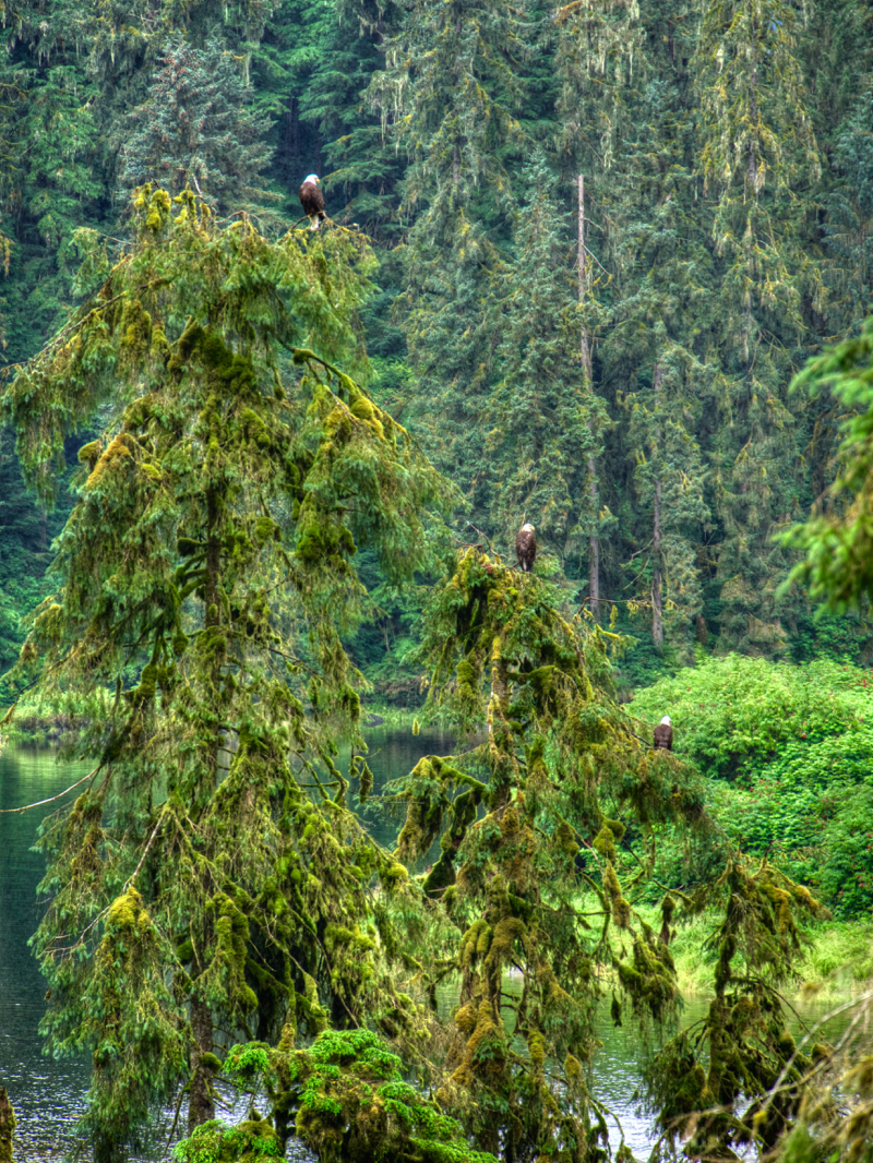 ThreeEagles