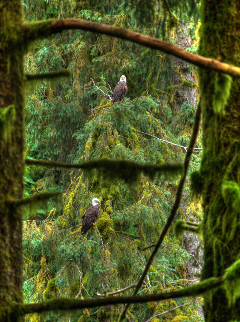 TwoEagles