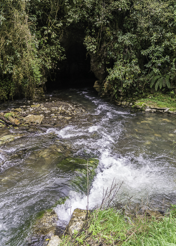 Waitomo-2