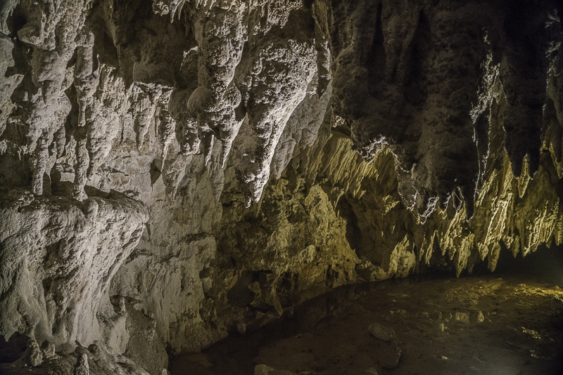 Waitomo-24