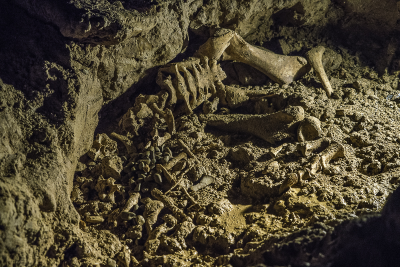Waitomo-48