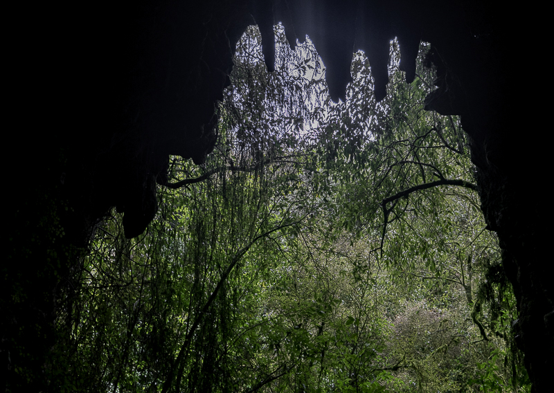 Waitomo-50