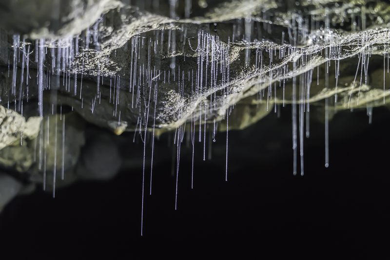 Waitomo-9