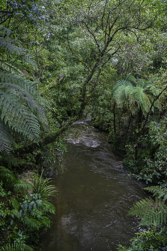 WaitomoWest-1