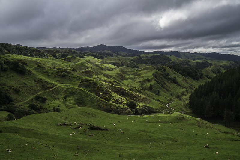 WaitomoWest-138