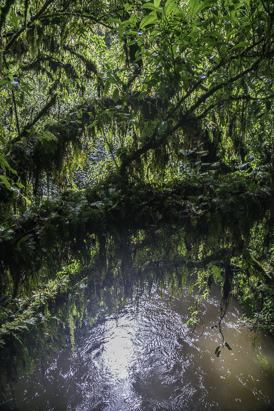 WaitomoWest-4