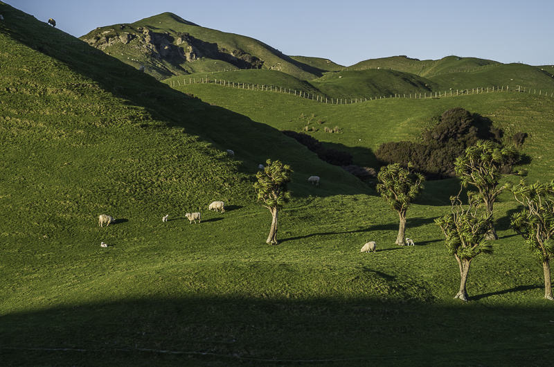 Whararariki-3