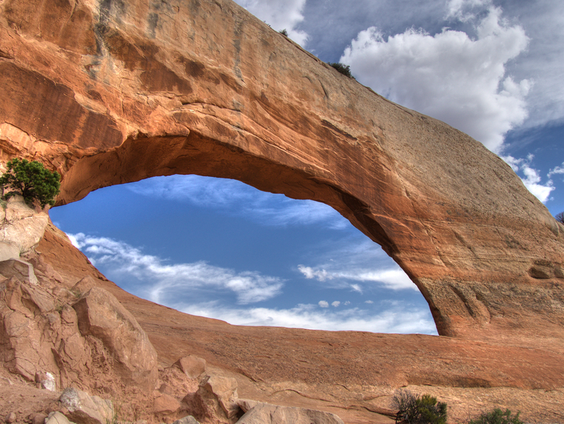 WilsonArch