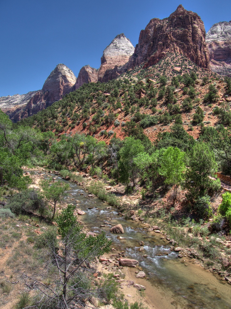 ZionRiver